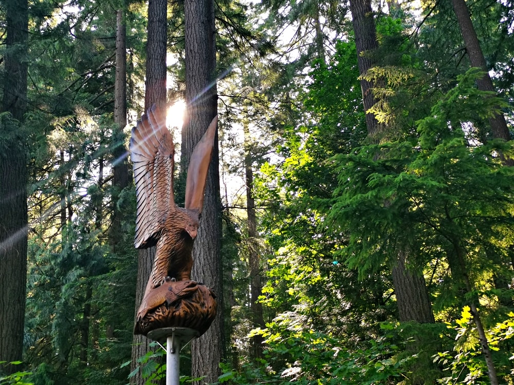 25 img 20230712 171652