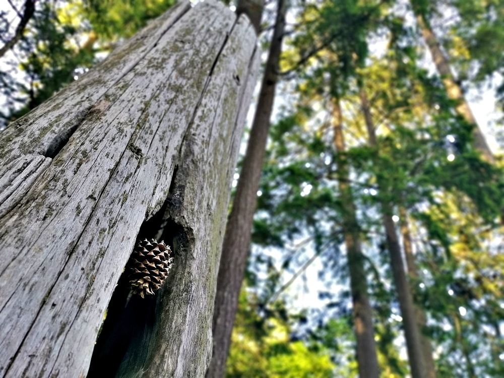 25 img 20230712 171908