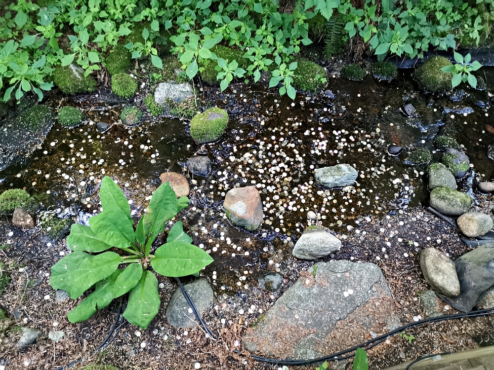 25 img 20230712 172616