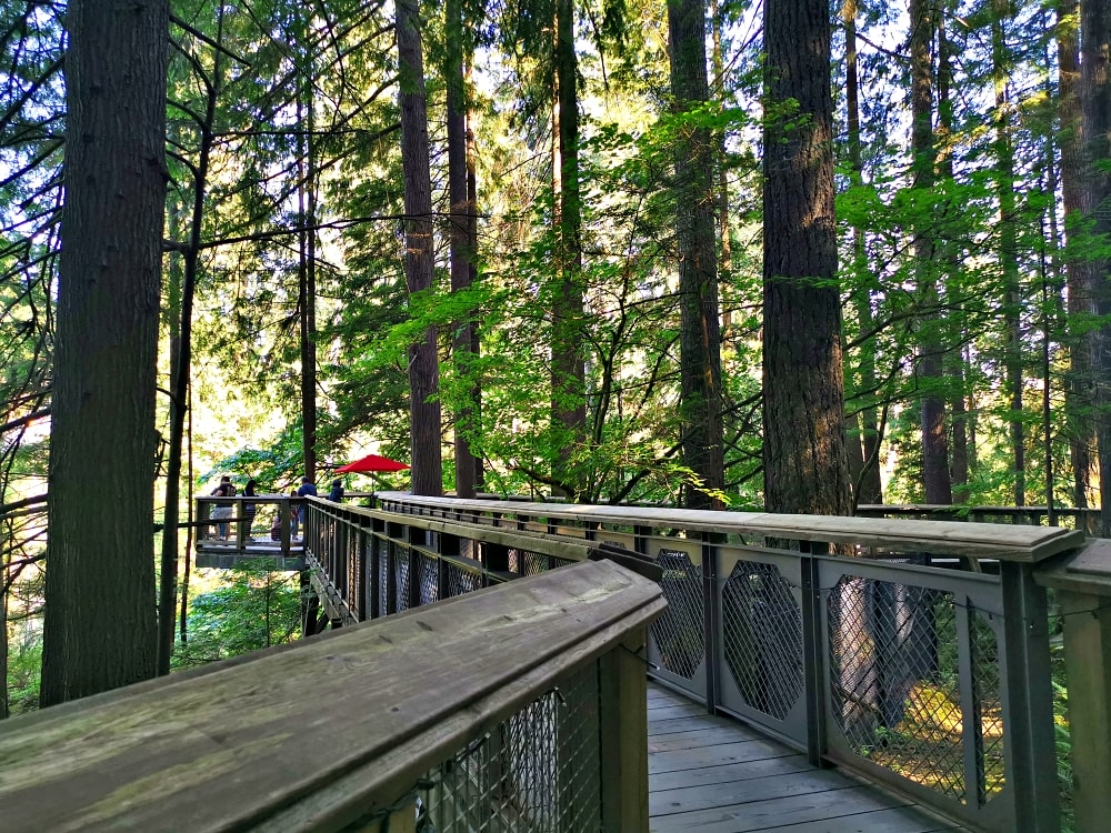 25 img 20230712 172629