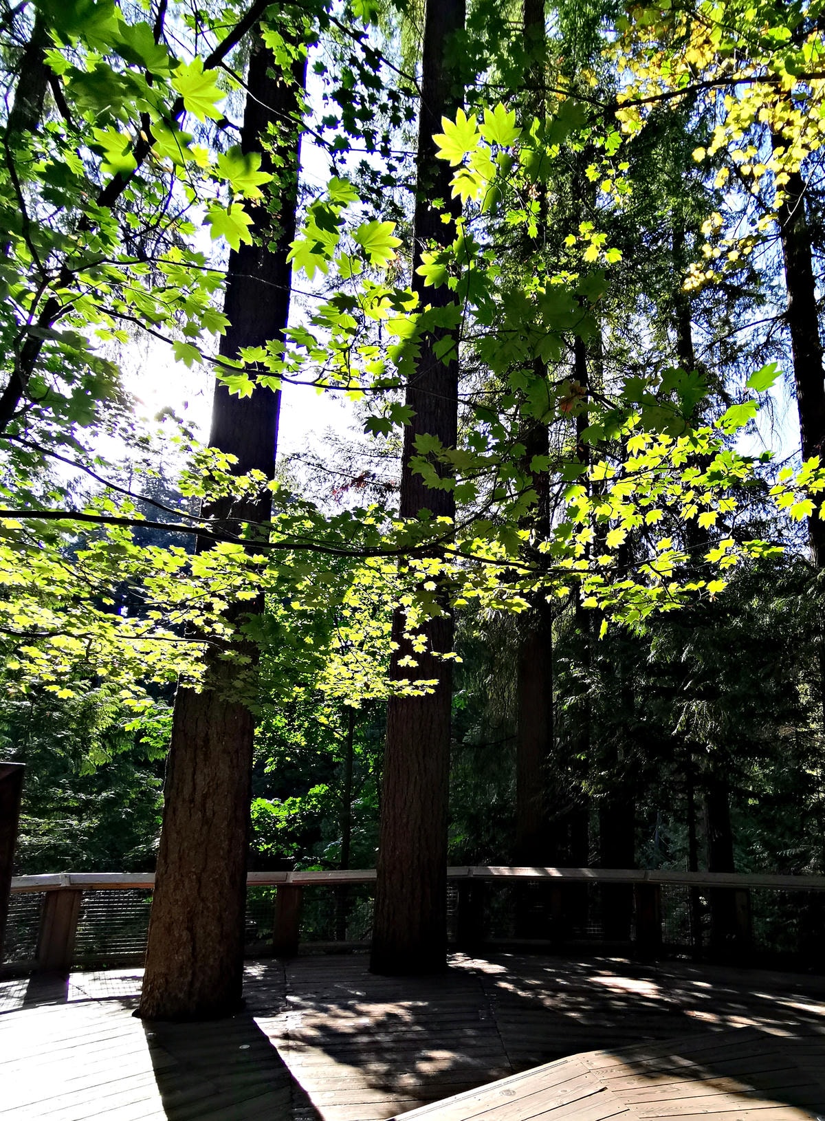 26 img 20230712 180220