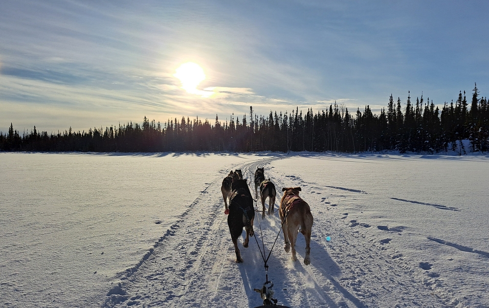 11a 20250204 141422 (1)