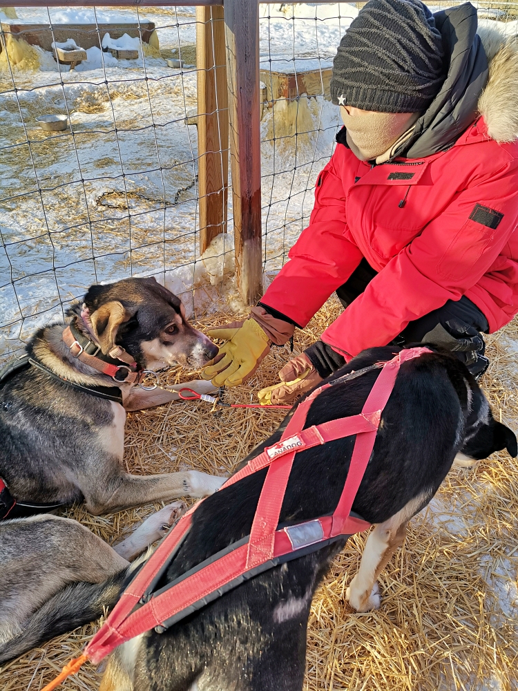 15a img 20250204 142053