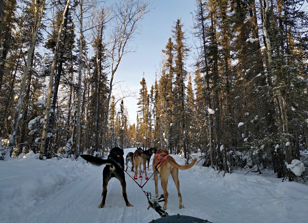 9a img 20250204 141051