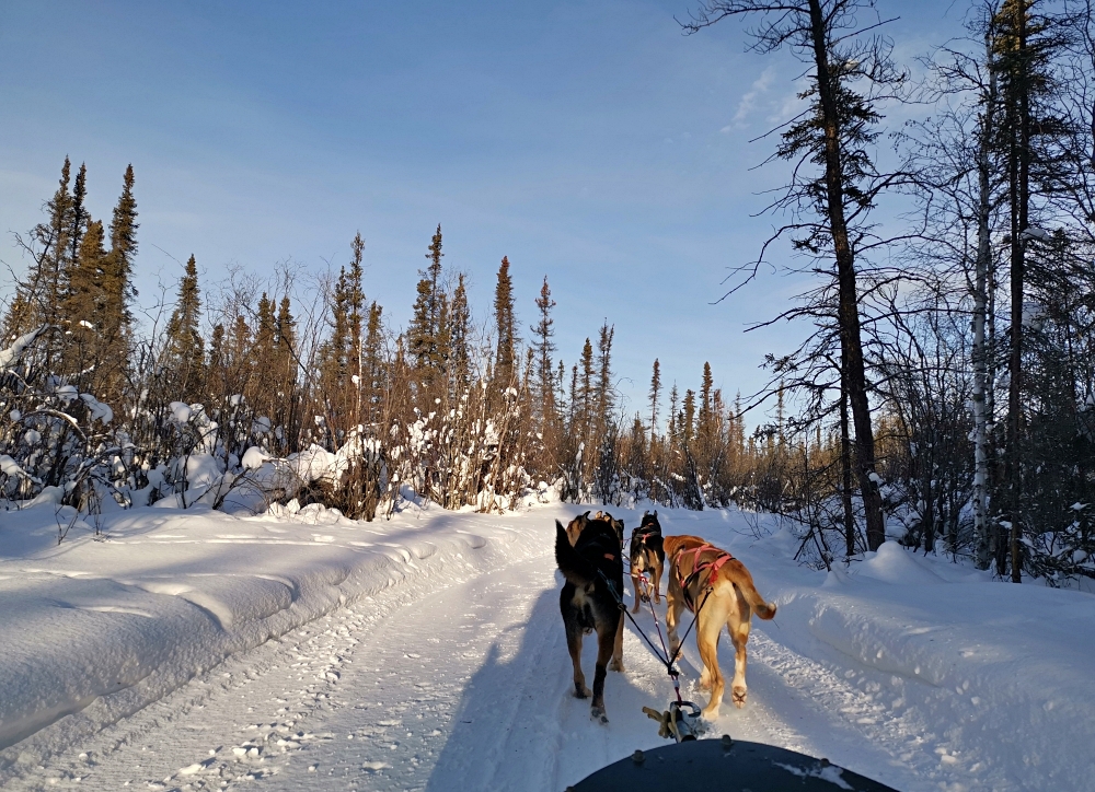 9a img 20250204 141136