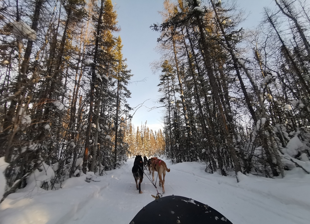 9a img 20250204 141155