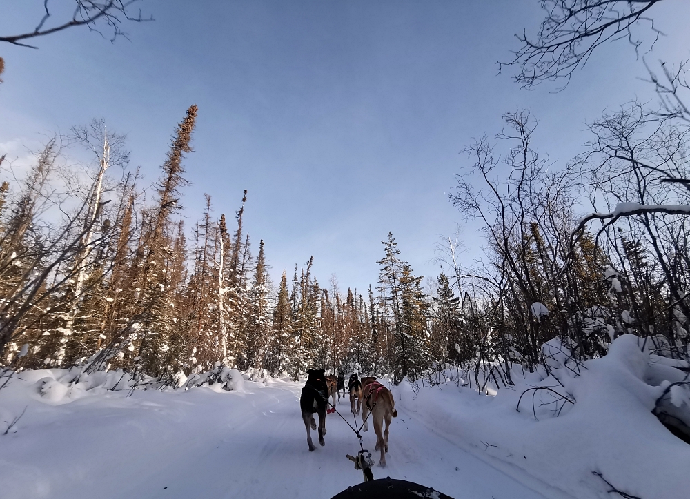 9a img 20250204 141158