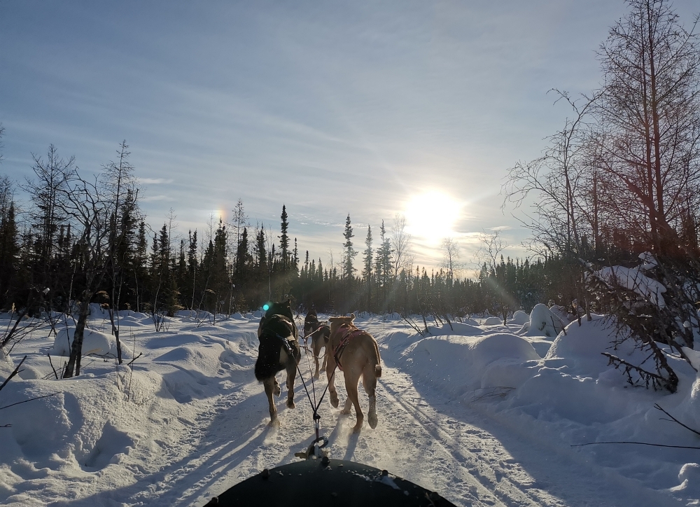 9a img 20250204 141302