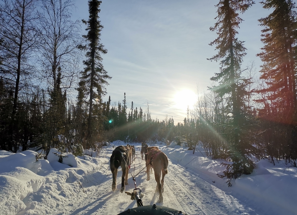 9a img 20250204 141309