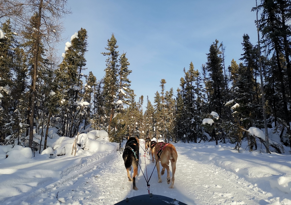 9a img 20250204 141748