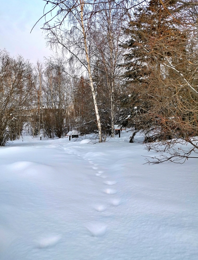 Img 20250204 161237