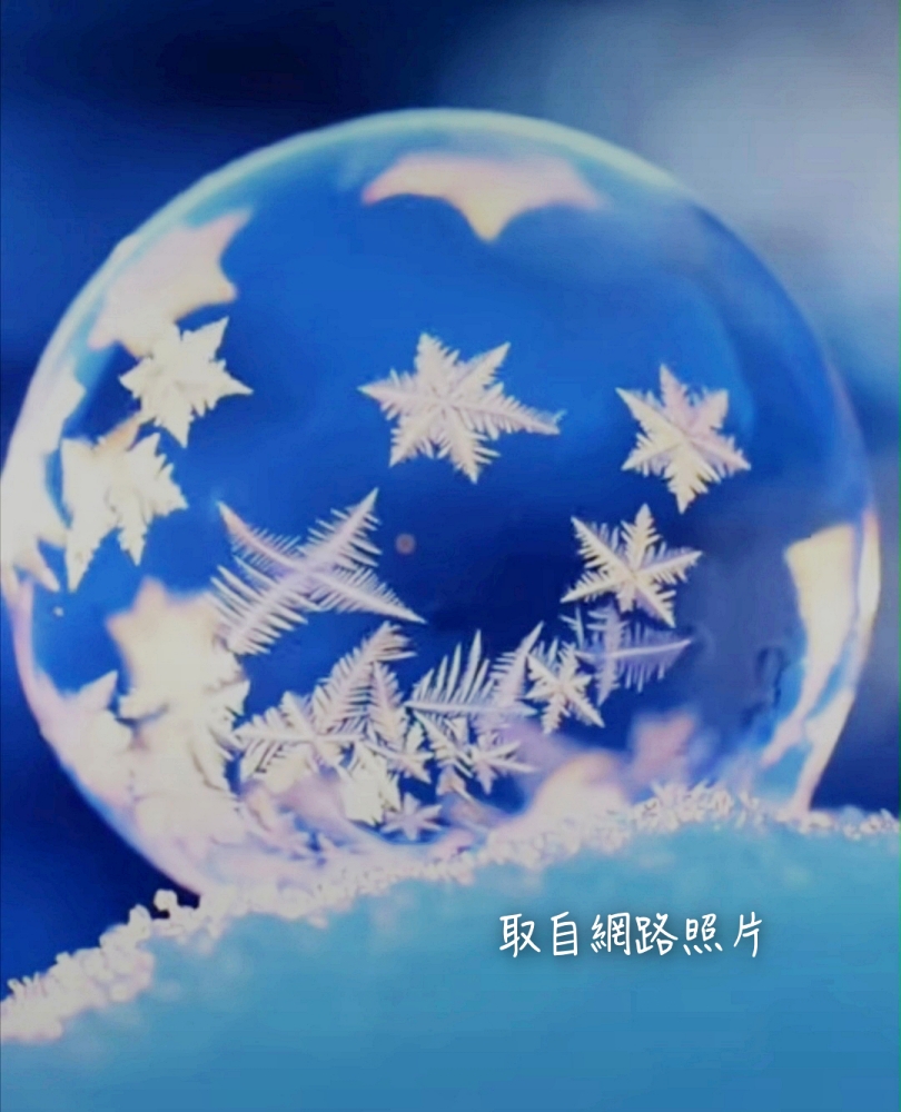 Meitu 20250204 015642911