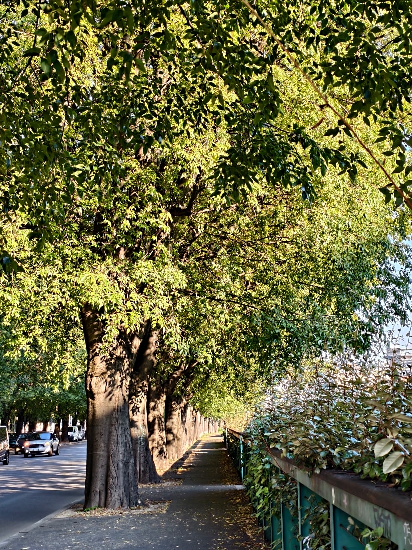義大利 |多洛米蒂旅程D2-2_米蘭。但丁街。艾曼紐二世迴廊 。Navigli 運河 - 第28張圖 義大利 |多洛米蒂旅程D2-2_米蘭。但丁街。艾曼紐二世迴廊 。Navigli 運河