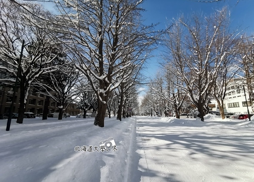 北海道 |2025 尋找楓紅角落。充滿回憶的北海道大學 - 第69張圖 北海道 |2025 尋找楓紅角落。充滿回憶的北海道大學