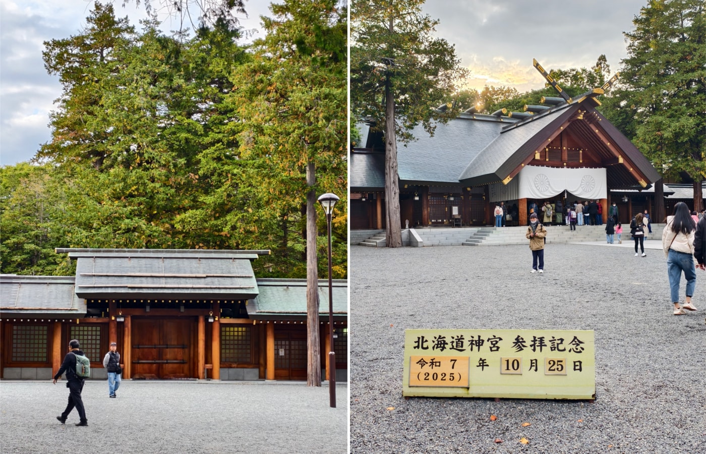 北海道 ｜2025 尋找楓紅角落。北海道神宮。豐平峽岩壁楓葉
