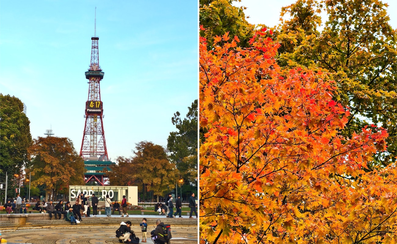 北海道 ｜2025 尋找楓紅角落。北海道神宮。豐平峽岩壁楓葉