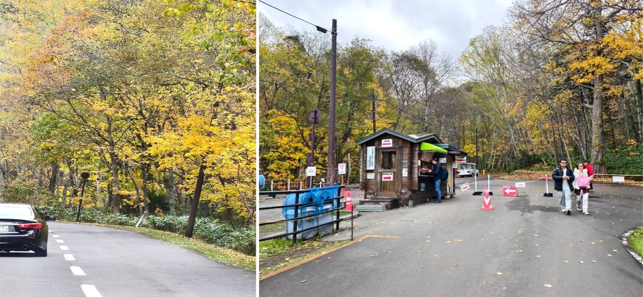北海道 ｜2025 尋找楓紅角落。北海道神宮。豐平峽岩壁楓葉