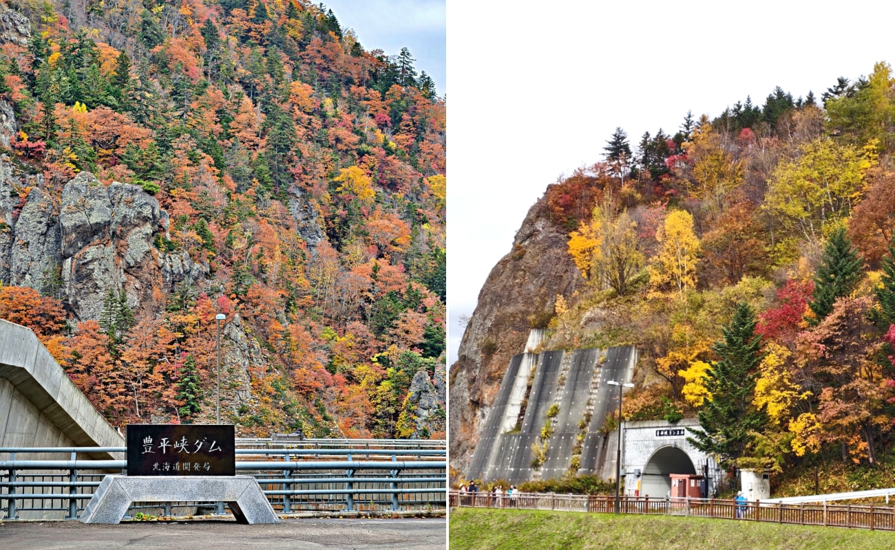 北海道 ｜2025 尋找楓紅角落。北海道神宮。豐平峽岩壁楓葉