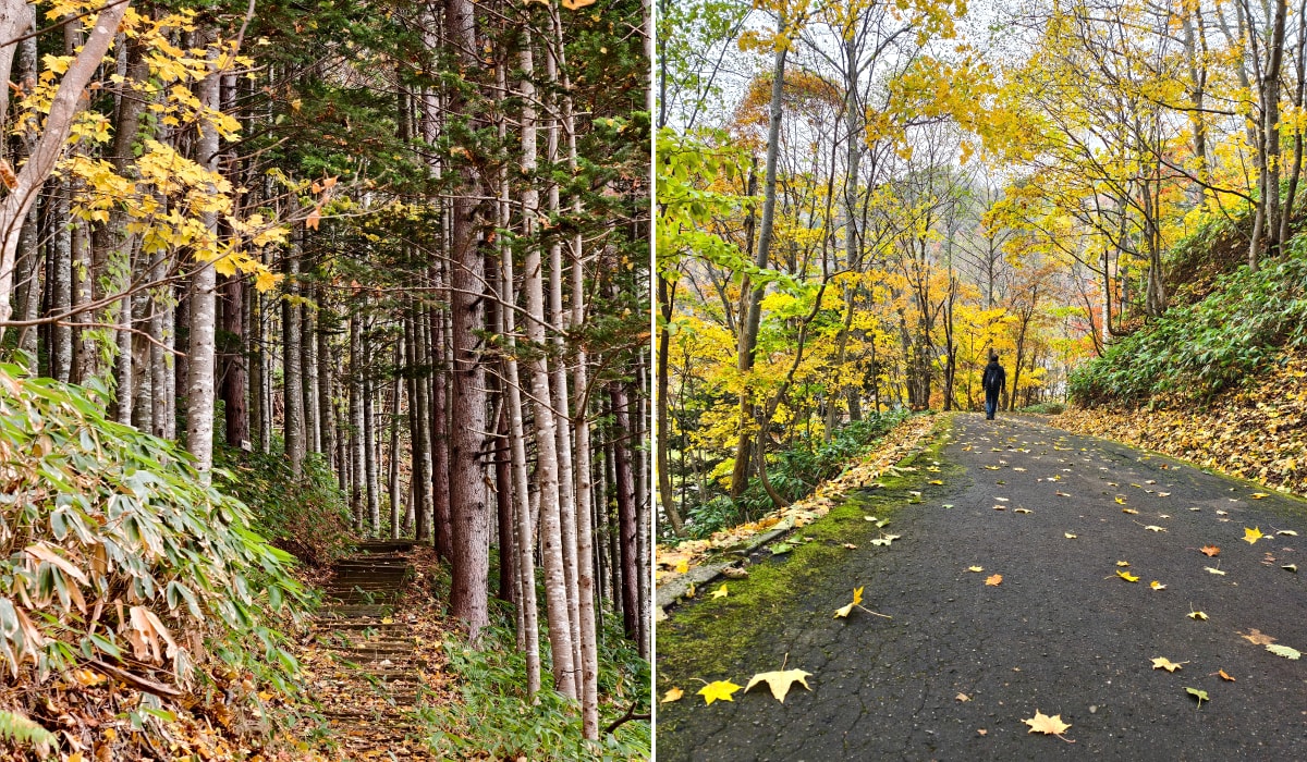 北海道 ｜2025 尋找楓紅角落。北海道神宮。豐平峽岩壁楓葉