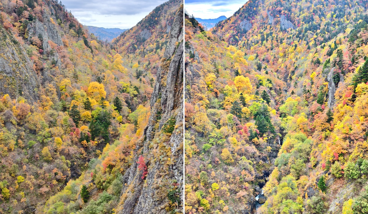 北海道 ｜2025 尋找楓紅角落。北海道神宮。豐平峽岩壁楓葉