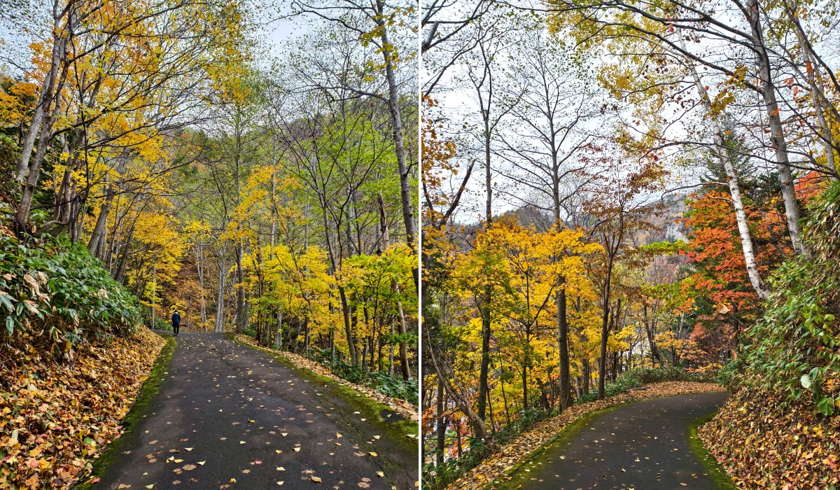 北海道 ｜2025 尋找楓紅角落。北海道神宮。豐平峽岩壁楓葉