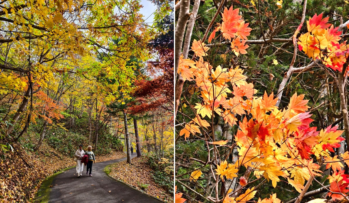 北海道 ｜2025 尋找楓紅角落。北海道神宮。豐平峽岩壁楓葉