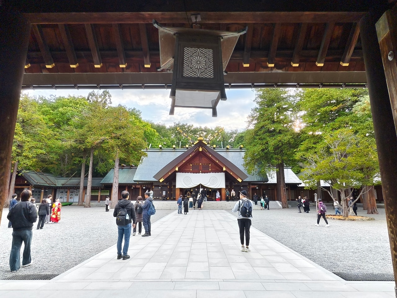 北海道 ｜2025 尋找楓紅角落。北海道神宮。豐平峽岩壁楓葉