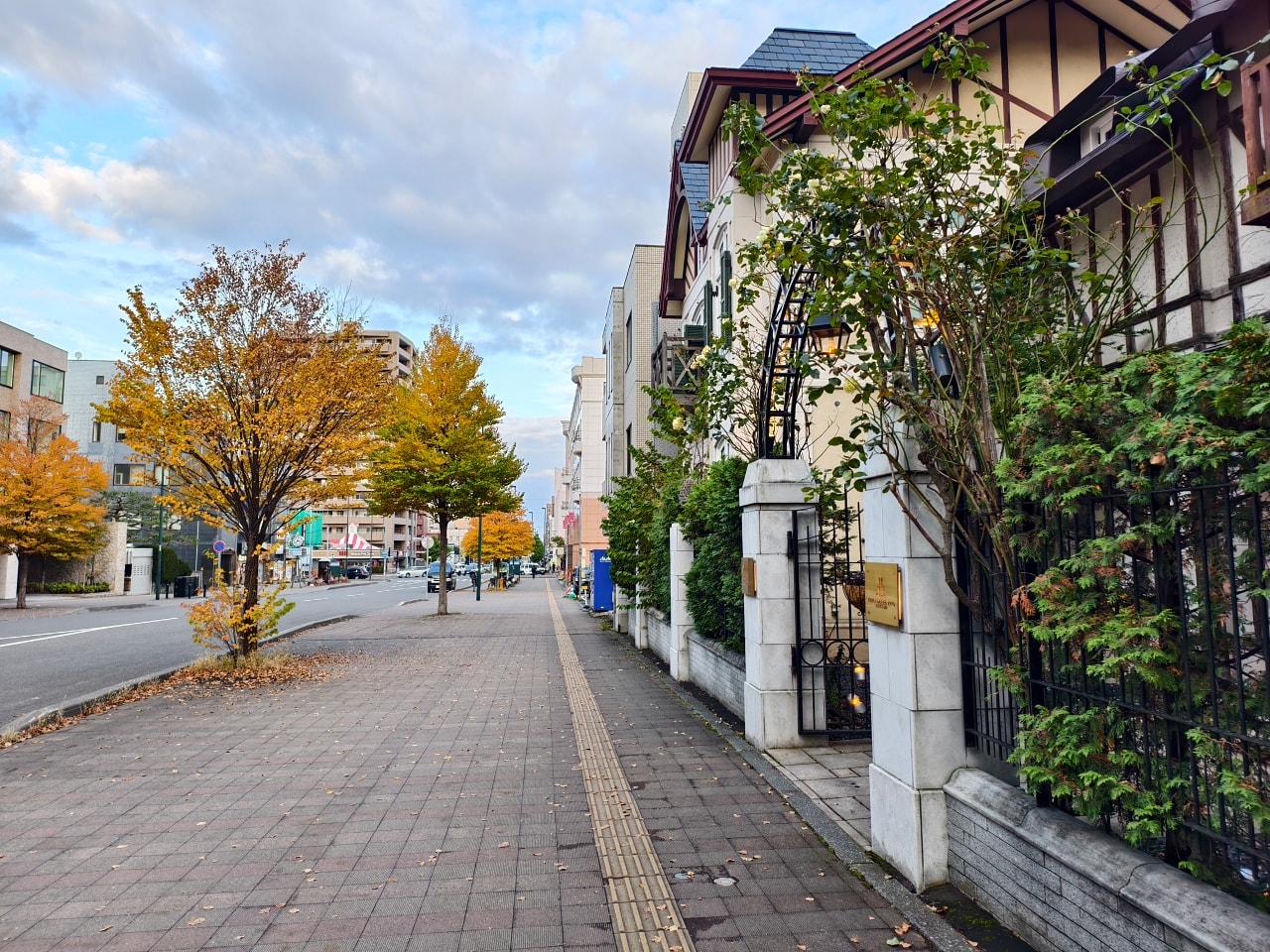 北海道 ｜2025 尋找楓紅角落。北海道神宮。豐平峽岩壁楓葉