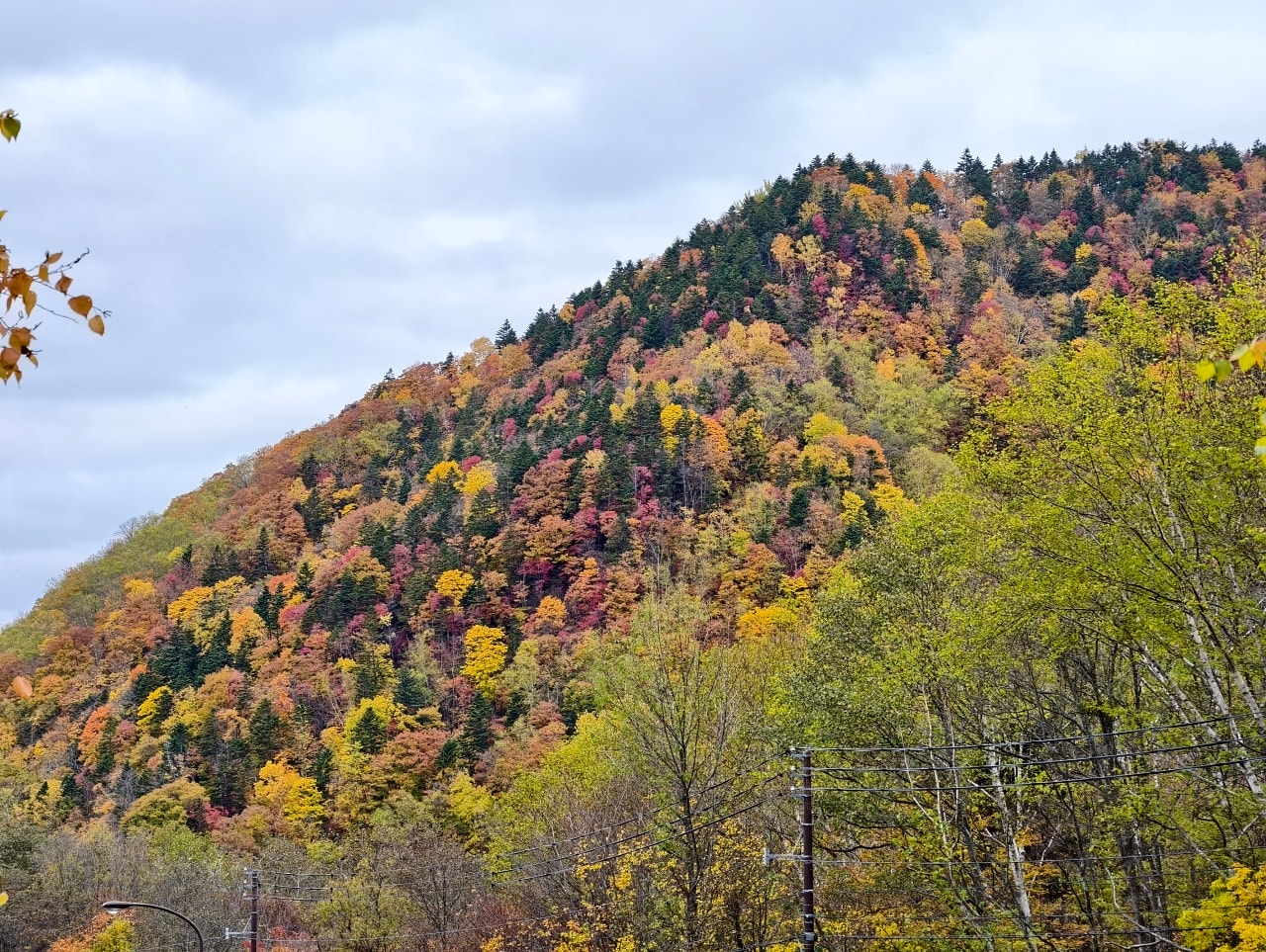 北海道 ｜2025 尋找楓紅角落。北海道神宮。豐平峽岩壁楓葉