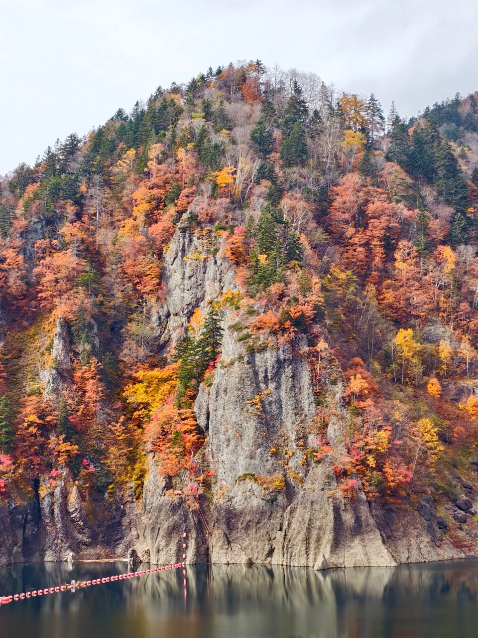 北海道 ｜2025 尋找楓紅角落。北海道神宮。豐平峽岩壁楓葉
