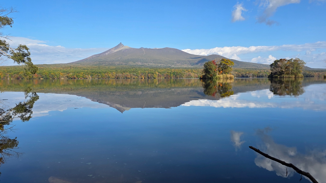 北海道 |2025 賞楓快閃趣。中島公園 - 第4張圖 北海道 |2025 賞楓快閃趣。中島公園