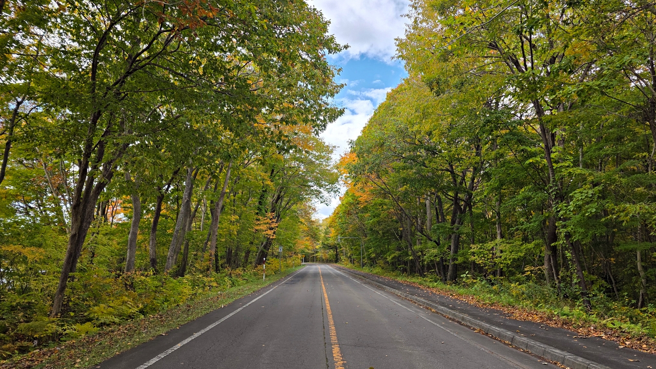 北海道 |2025 賞楓快閃趣。中島公園 - 第3張圖 北海道 |2025 賞楓快閃趣。中島公園