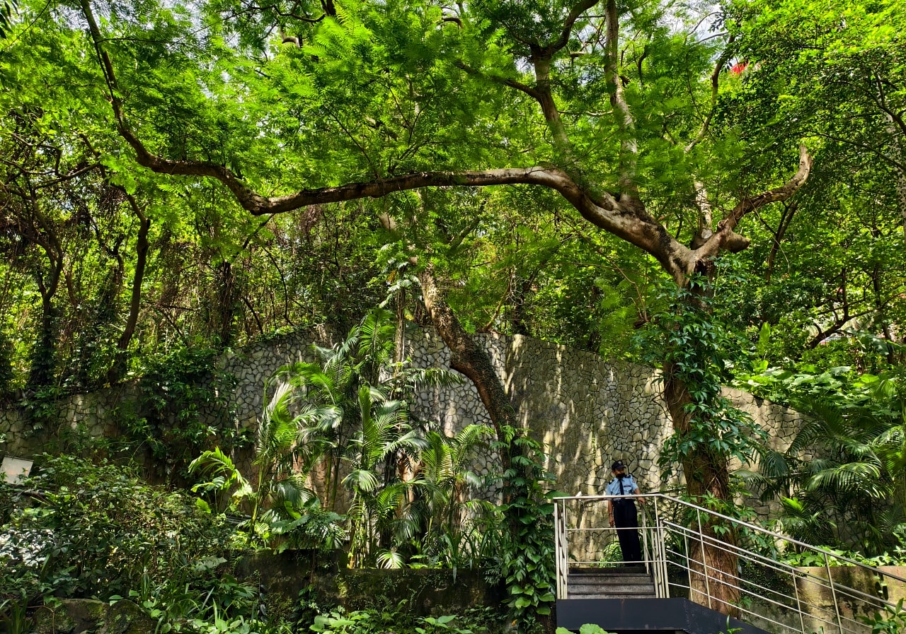 生活 ｜紅色傳奇。圓山大飯店