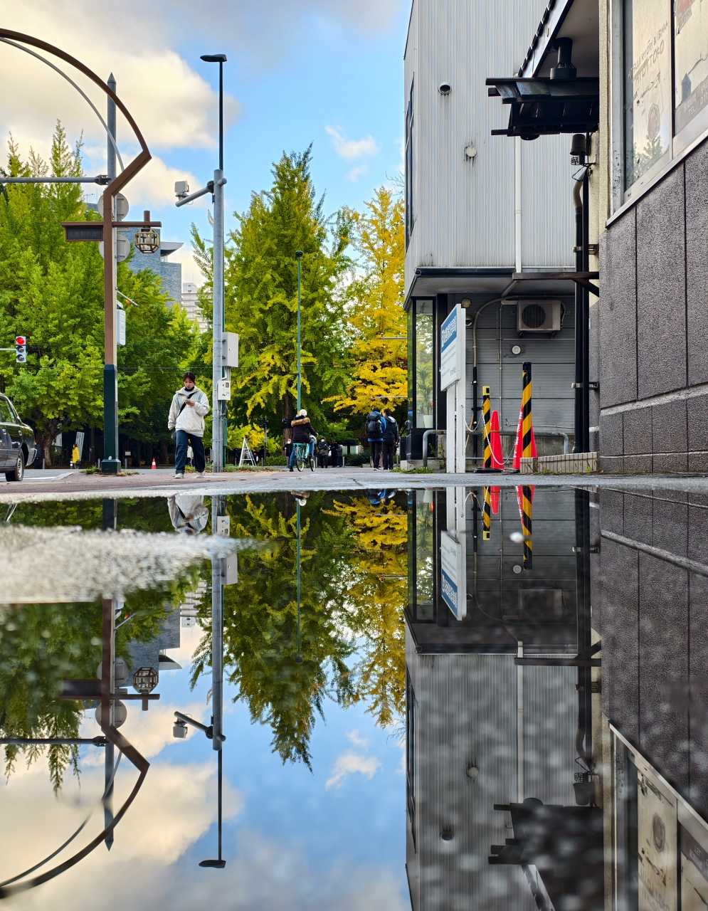 北海道 ｜2025 賞楓快閃趣。中島公園