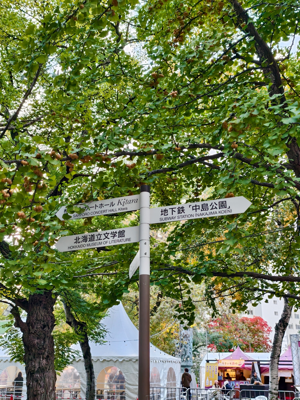 北海道 |2025 賞楓快閃趣。中島公園 - 第8張圖 北海道 |2025 賞楓快閃趣。中島公園