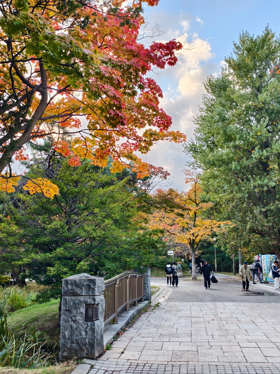 北海道 ｜2025 賞楓快閃趣。中島公園