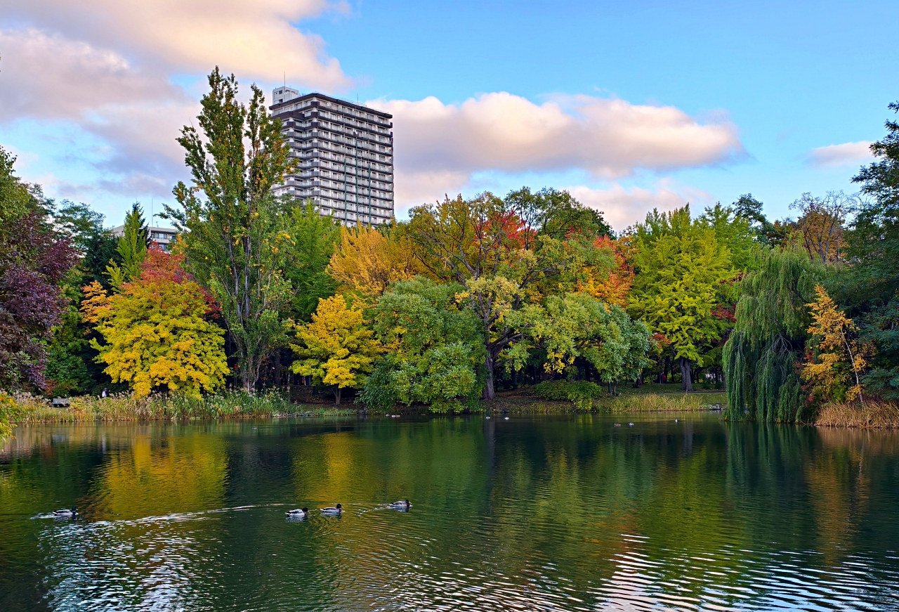 北海道 |2025 賞楓快閃趣。中島公園 - 第17張圖 北海道 |2025 賞楓快閃趣。中島公園