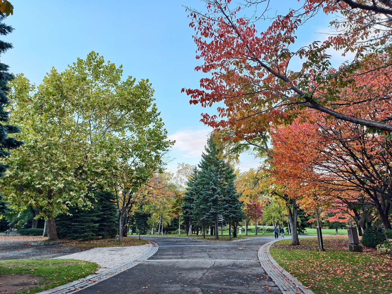 北海道 |2025 賞楓快閃趣。中島公園 - 第20張圖 北海道 |2025 賞楓快閃趣。中島公園
