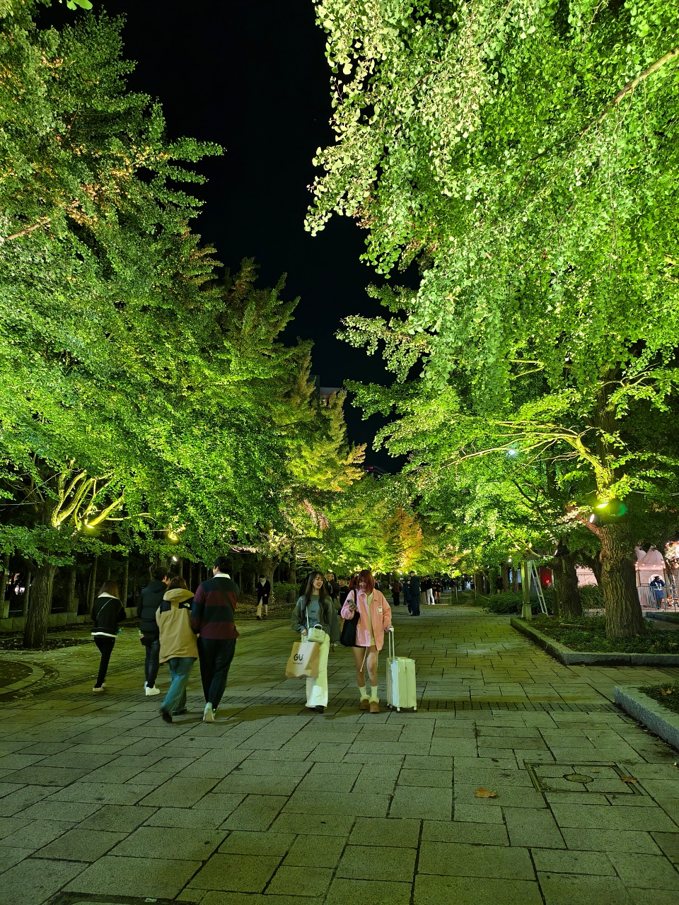 北海道 |2025 賞楓快閃趣。中島公園 - 第37張圖 北海道 |2025 賞楓快閃趣。中島公園