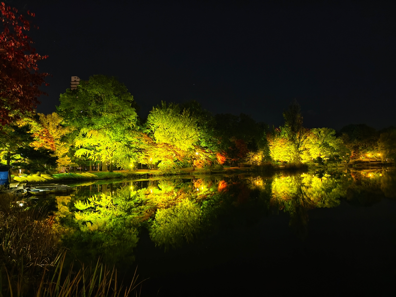 北海道 |2025 賞楓快閃趣。中島公園 - 第35張圖 北海道 |2025 賞楓快閃趣。中島公園