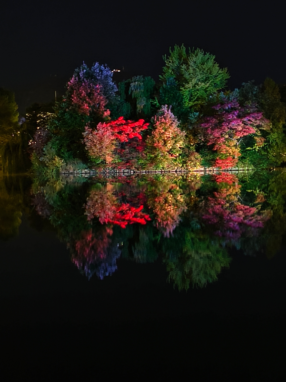 北海道 ｜2025 賞楓快閃趣。中島公園