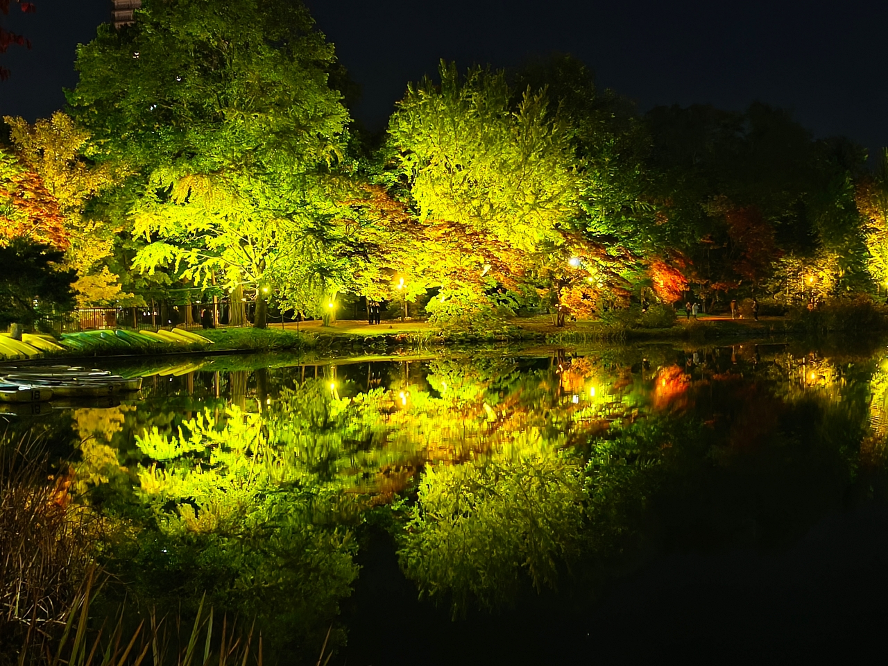 北海道 |2025 賞楓快閃趣。中島公園 - 第31張圖 北海道 |2025 賞楓快閃趣。中島公園