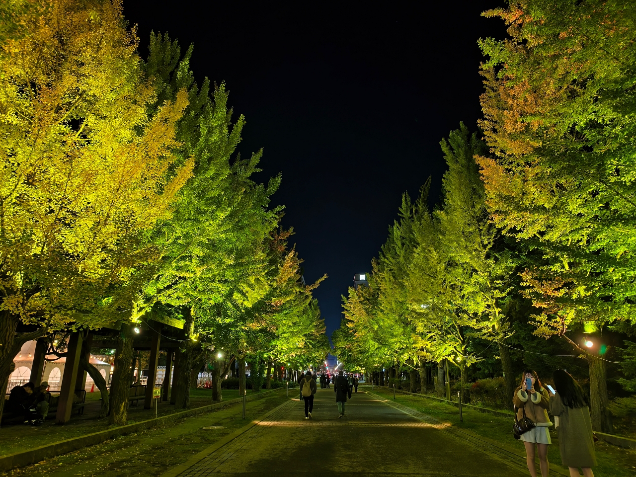 北海道 |2025 賞楓快閃趣。中島公園 - 第30張圖 北海道 |2025 賞楓快閃趣。中島公園