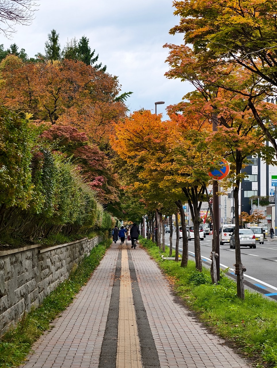 北海道 |2025 尋找楓紅角落。充滿回憶的北海道大學 - 第7張圖 北海道 |2025 尋找楓紅角落。充滿回憶的北海道大學
