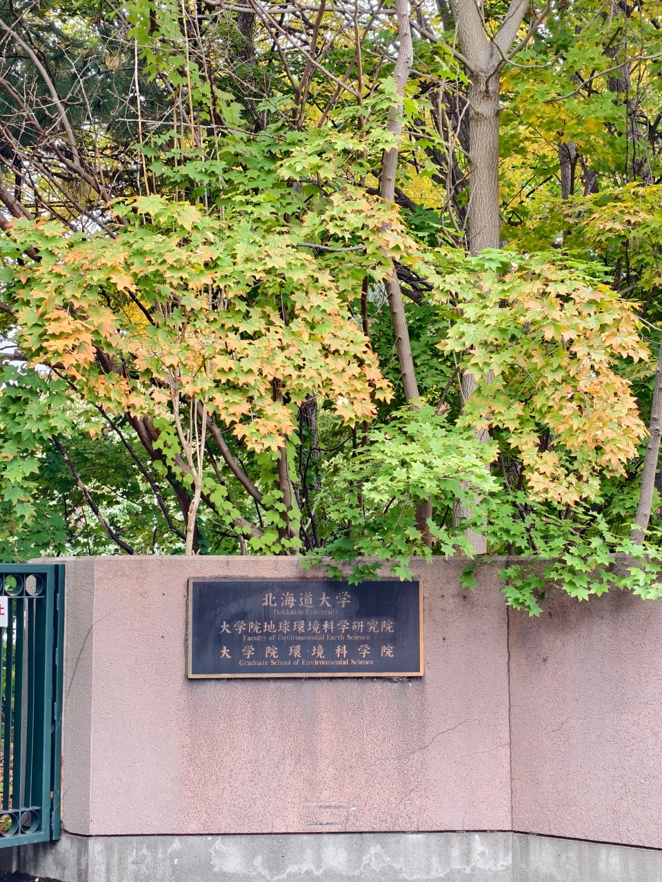北海道 |2025 尋找楓紅角落。充滿回憶的北海道大學 - 第10張圖 北海道 |2025 尋找楓紅角落。充滿回憶的北海道大學