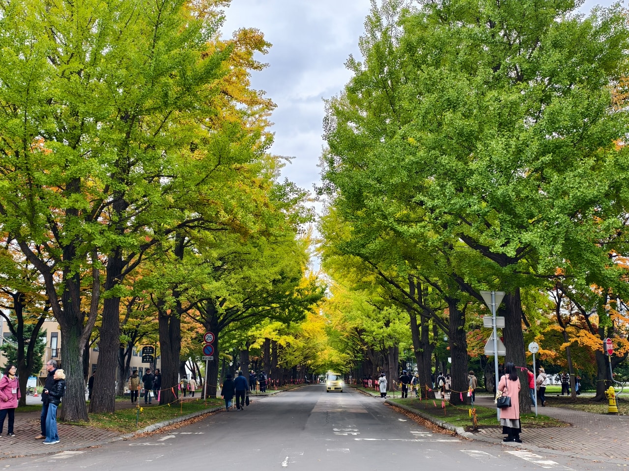 北海道 |2025 尋找楓紅角落。充滿回憶的北海道大學 - 第20張圖 北海道 |2025 尋找楓紅角落。充滿回憶的北海道大學