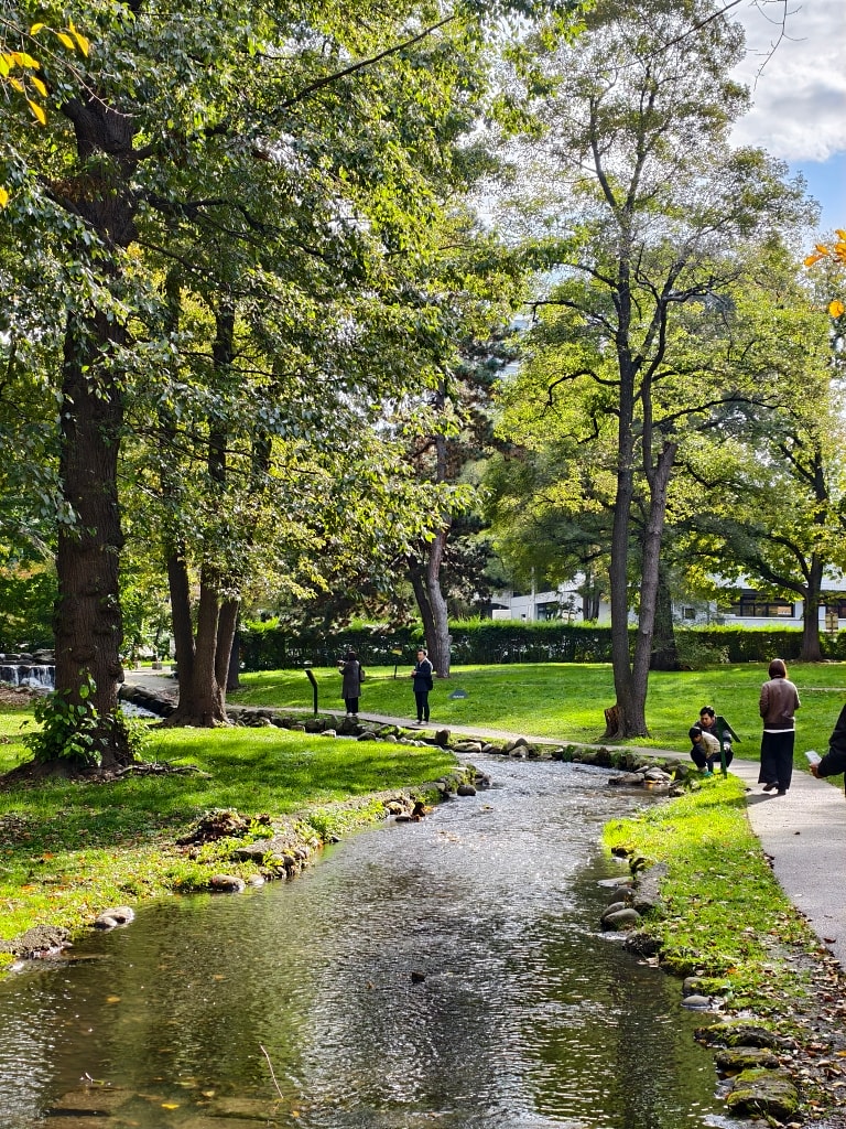 北海道 |2025 尋找楓紅角落。充滿回憶的北海道大學 - 第66張圖 北海道 |2025 尋找楓紅角落。充滿回憶的北海道大學
