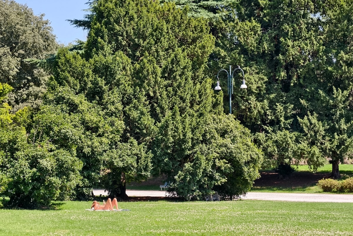 義大利 |多洛米蒂旅程D2-1。米蘭和平之門。森皮奧內公園。斯福爾扎古堡 - 第40張圖 義大利 |多洛米蒂旅程D2-1。米蘭和平之門。森皮奧內公園。斯福爾扎古堡