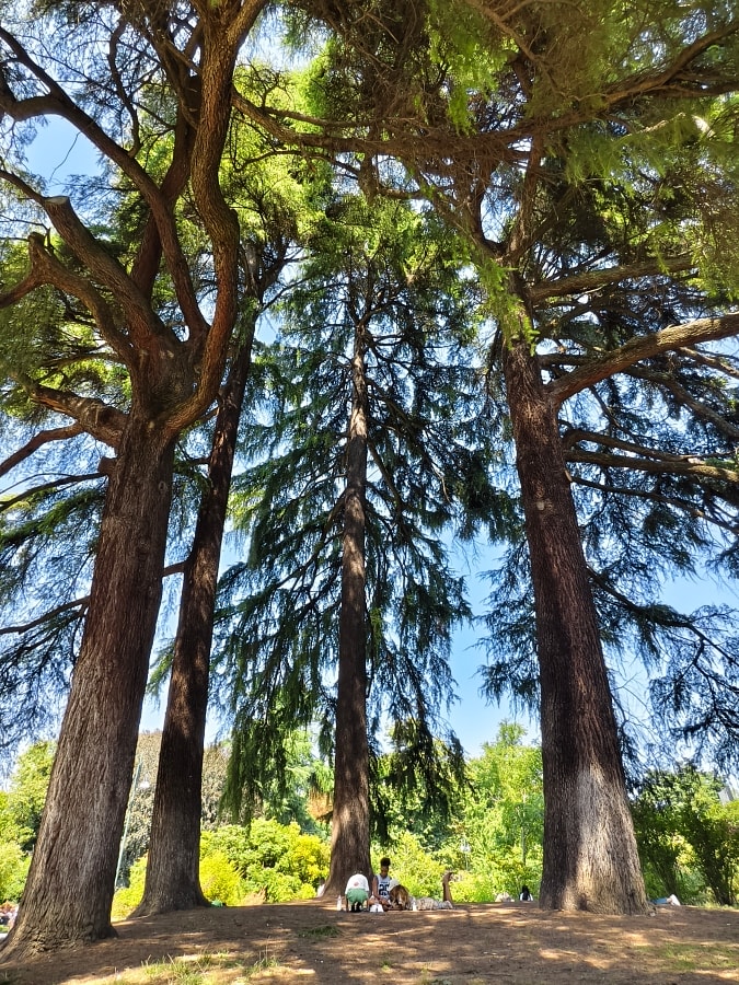 義大利 |多洛米蒂旅程D2-1。米蘭和平之門。森皮奧內公園。斯福爾扎古堡 - 第46張圖 義大利 |多洛米蒂旅程D2-1。米蘭和平之門。森皮奧內公園。斯福爾扎古堡
