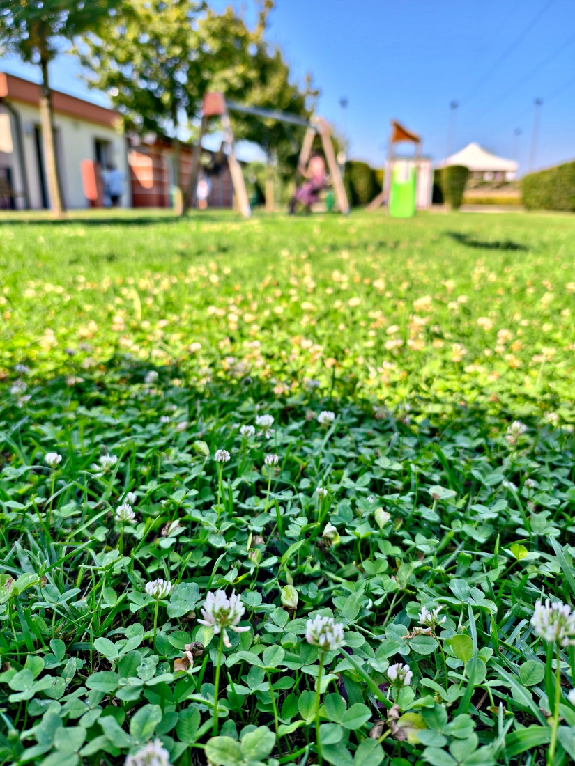 義大利 |多洛米蒂旅程D3_Verona千年競技場欣賞歌劇節。Camping Verona Village - 第48張圖 義大利 |多洛米蒂旅程D3_Verona千年競技場欣賞歌劇節。Camping Verona Village